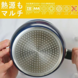 Nồi chiên ngập dầu DCM Nhật Bản 2.5 lít đáy từ kèm rổ chiên Inox, vung tự đứng