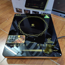 Bếp hồng ngoại cao cấp Orkin Thái Lan OR-DT210 công suất 2200W Inverter