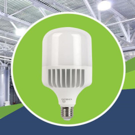 Đèn Led Buld bóng đèn