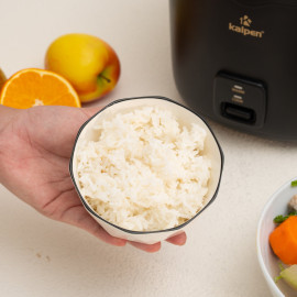 Nồi cơm điện cao cấp Kalpen R3 ruột sứ dung tích 1L hàng Đức