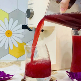 Máy ép chậm Phileo Hàn Quốc PH-726, bảo hành 12 tháng