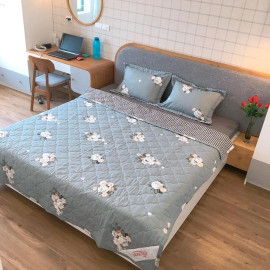Bộ chăn bốn mùa và 2 vỏ gối Everon EVE009 kích thước 2m x 2.2m - Hàng KM LG