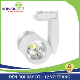 Đèn Rọi Ray Kingled 12W DTL-12 màu trắng