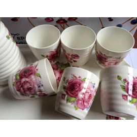 Bộ bình nước và 6 cốc sứ sang trọng