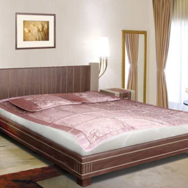 Chiếu lụa điều hòa 2 lớp 1m8x2m cao cấp 3D ( Tặng kèm 2 vỏ gối )