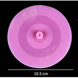 Nắp đậy tô bát Silicon có nún 21cm KM-1294 hàng Nhật - Hồng