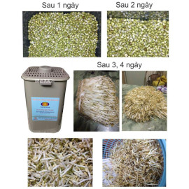 Thiết bị làm rau giá sạch tự động đa năng GV - 102