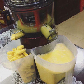Máy ép hoa quả tốc độ chậm SAVTM JE-07 hàng nội địa Trung - Bảo hành chính hãng 12 tháng