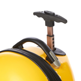 Vali nhựa kéo 17inch Cuties Con ong vàng