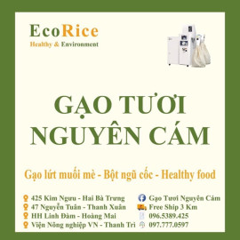 Gạo nếp cẩm 1kg - Eco Rice