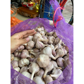 Tỏi khô Thái Thuỵ (1kg) - Tỏi ta đặc sản chính hiệu quê Thái Bình