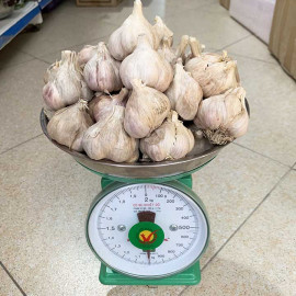Tỏi khô Thái Thuỵ (1kg) - Tỏi ta đặc sản chính hiệu quê Thái Bình