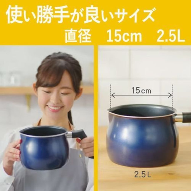 Nồi chiên ngập dầu DCM Japan 2.5 lít đáy từ kèm rổ chiên Inox
