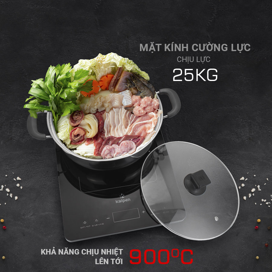 Bếp từ đơn cao cấp Kalpen ICK-1668 công suất 2200W hàng Đức