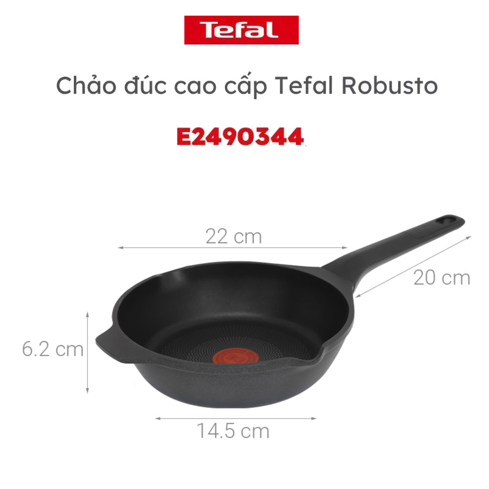 Chảo đúc chống dính cao cấp Tefal Robusto E2490244 size 20cm có miệng rót
