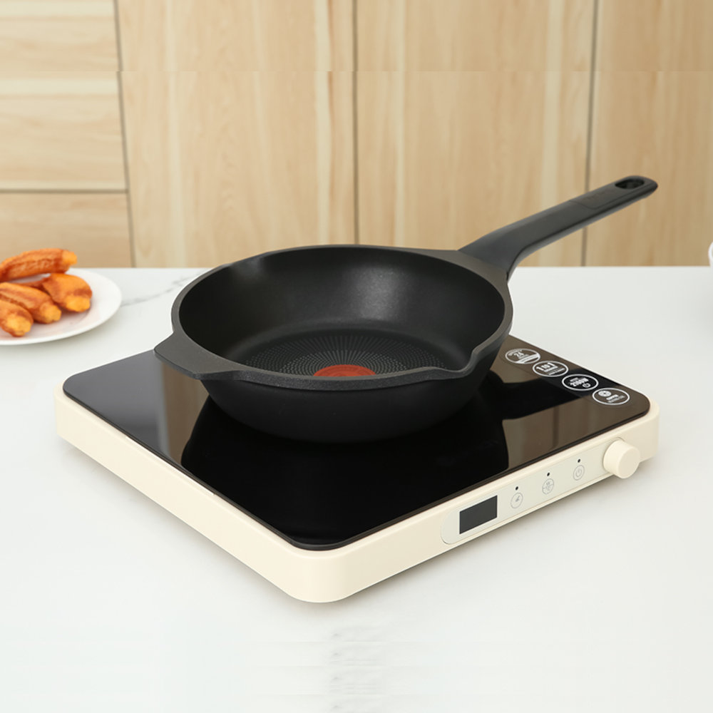 Chảo đúc chống dính đáy từ 22cm Tefal Robusto E2490344 có miệng rót