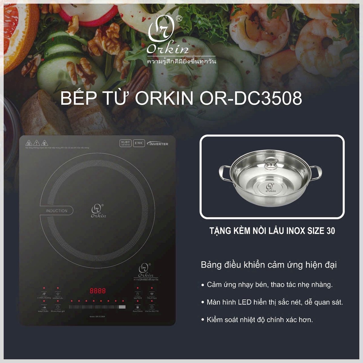 Bếp từ đơn Orkun Thái Lan OR-DC3508 công suất 3000W
