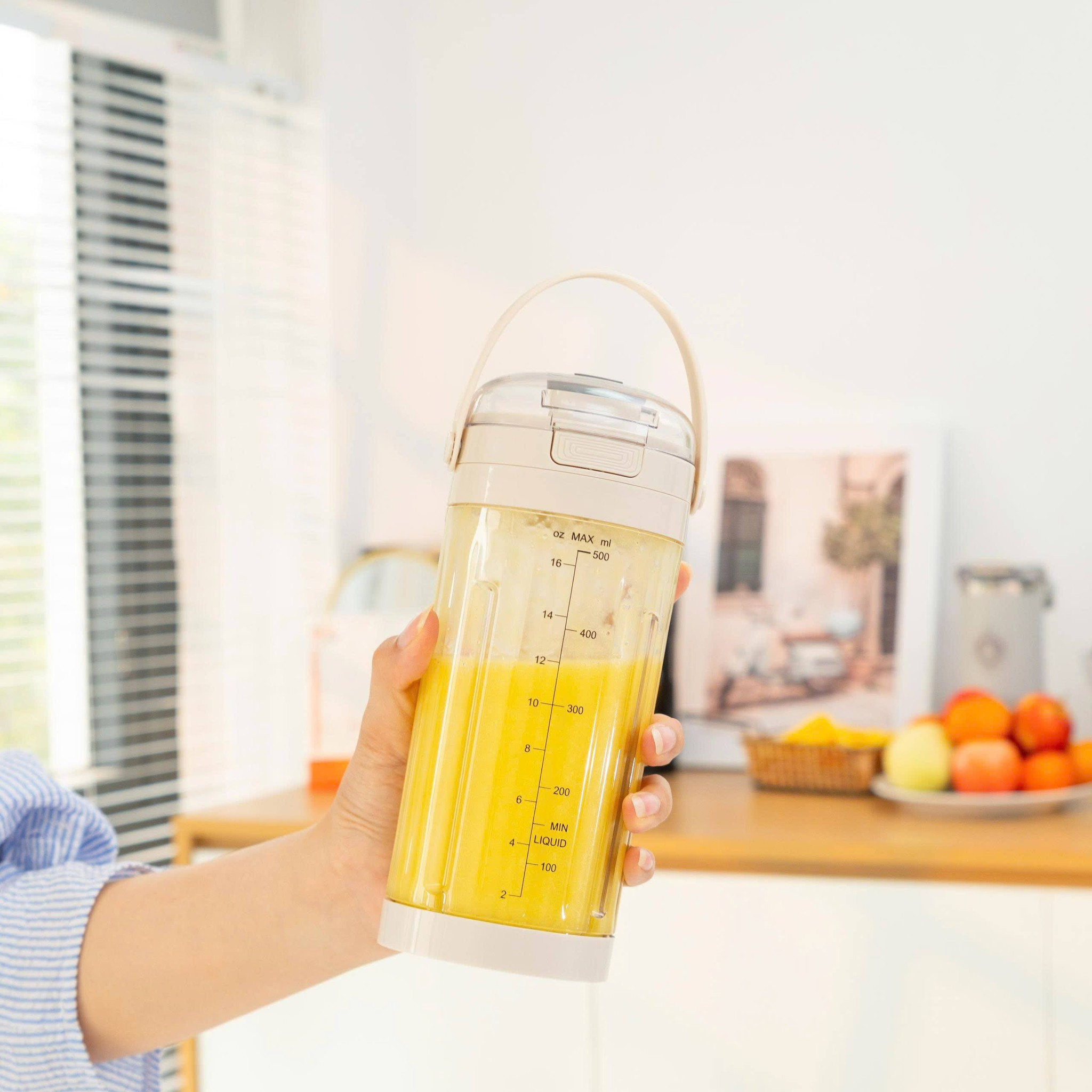 Máy xay sinh tố cầm tay Kalpen B11 500ml