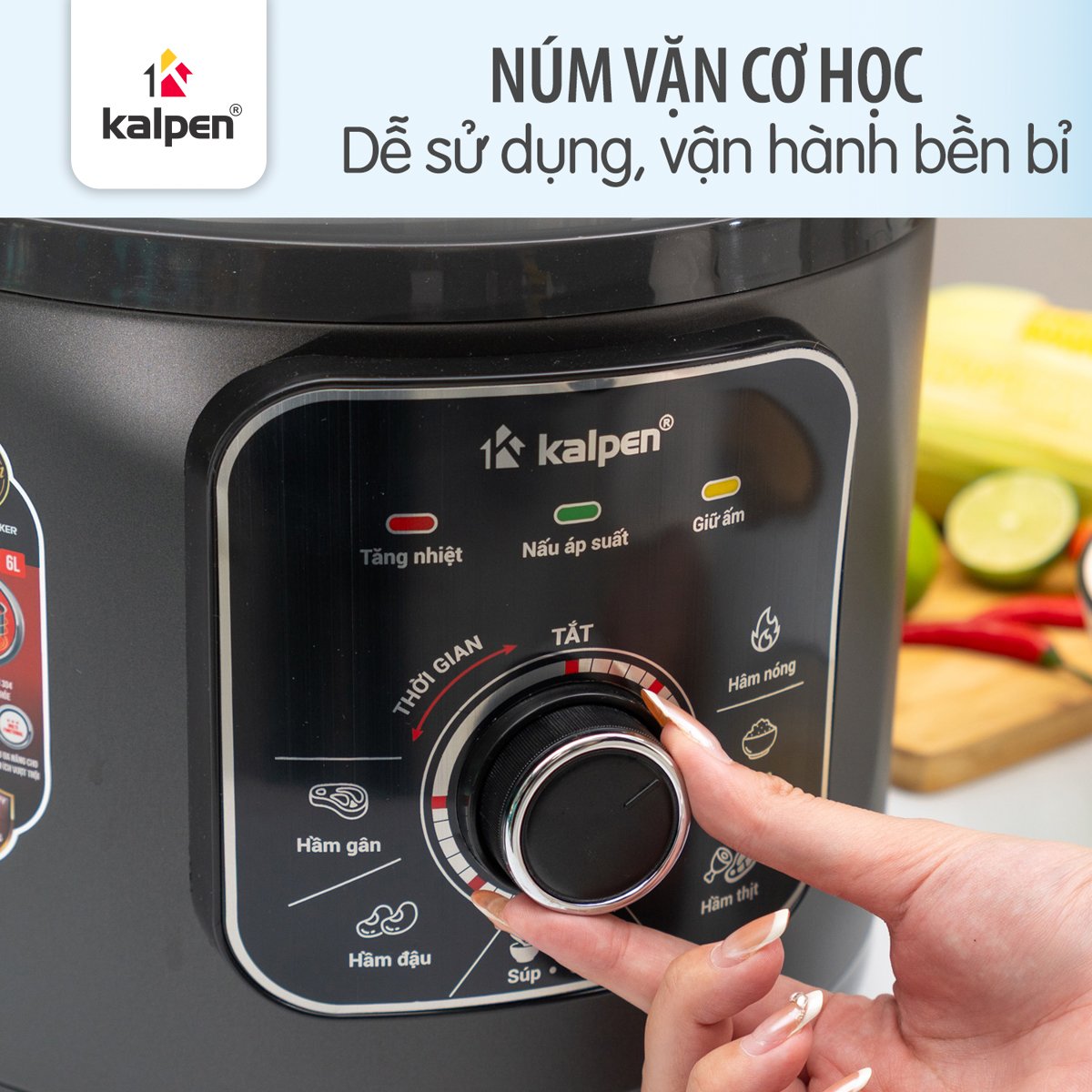 Nồi áp suất điện Inox 304 Kalpen P8