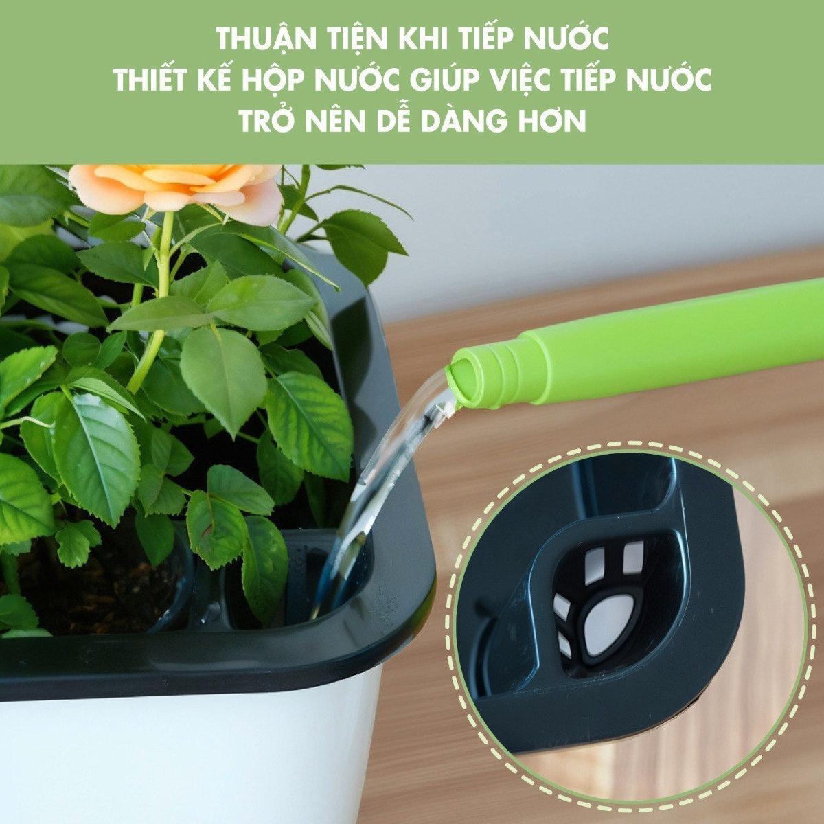 Chậu nhựa trồng cây, rau xanh Zuhausebasics ZB367