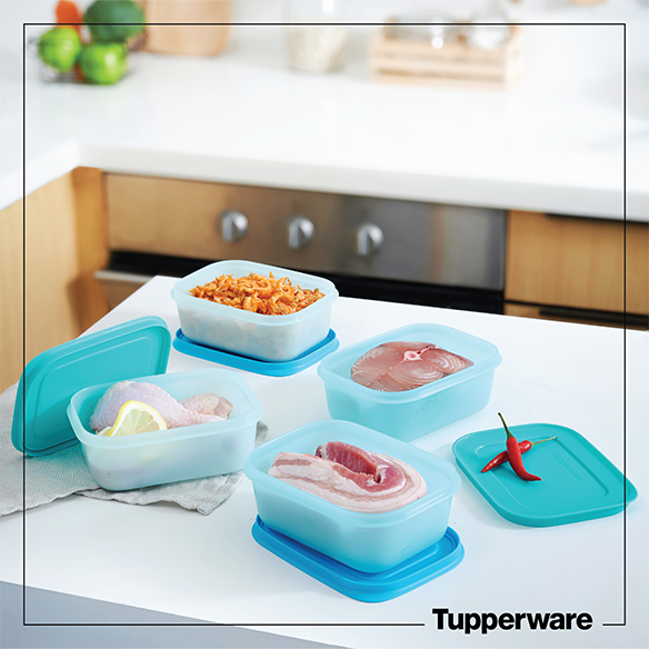 Bộ hộp trữ đông Tupperware Freezermate Gen II 450ml