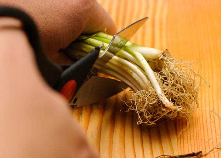 Kéo cắt thực phẩm đa năng Kitchen Scissors KS812 hàng xuất Nhật