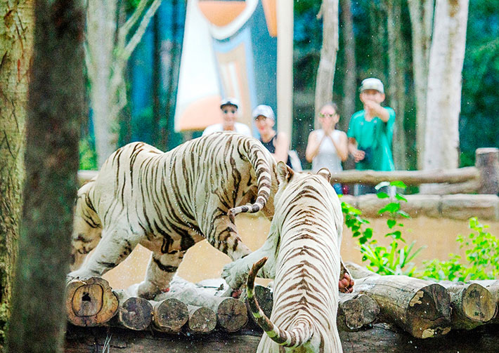 Voucher Vinpearl Safari - Công viên Chăm sóc và Bảo tồn Động vật trên đảo Phú Quốc