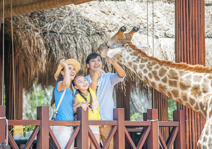 Voucher Vinpearl Safari - Công viên Chăm sóc và Bảo tồn Động vật trên đảo Phú Quốc